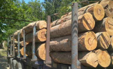 მარტში სამეგრელო - ზემო სვანეთში ხე - ტყის უკანონოდ მოპოვების 58  ფაქტი დაფიქსირდა