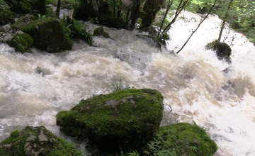 შურუბუმუს ხეობის მდინარე, რომელიც "იძახის" (ვიდეო) 