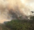 სოფელ თარგამულში 15 ჰა-ზე ეკალ-ბარდებს ცეცხლი მოედო (ვიდეო, ფოტო)
