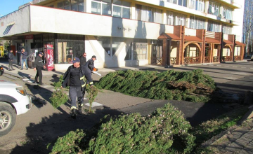 სამეგრელოში აბონენტებს ელექტროენერგია დღის ბოლომდე აღუდგებათ