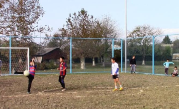 კონფლიქტისპირა სოფელში სტადიონი გაიხსნა (ვიდეო)