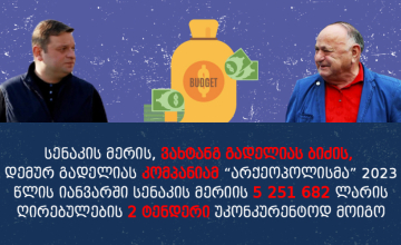 "სენაკის მერის ბიძა ტენდერებს უკონკურენტოდ იგებს" - TI