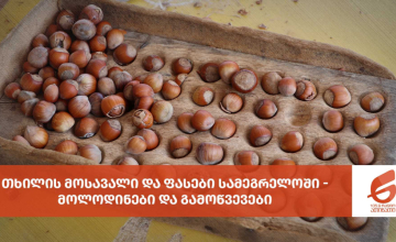 თხილის მოსავალი და ფასები სამეგრელოში - მოლოდინები და გამოწვევები (ფოტო)