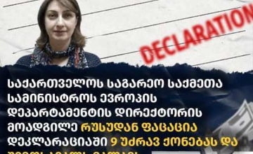 საგარეო საქმეთა სამინისტროს თანამშრომელი რუსუდან ფაცაცია დეკლარაციაში უძრავ ქონებას არ უთითებს - TI