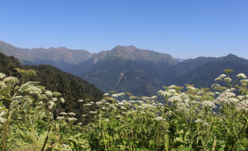 ფოტორეპორტაჟი ტობავარჩხილის ტბიდან