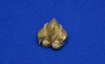 კოლხური ყოფიერების ამსახველი ფოტოგამოფენა (ფოტორეპორტაჟი)