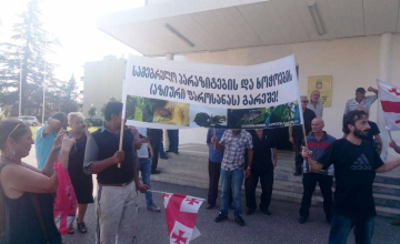 „სამეგრელო პარაზიტების და ხოჭოების გარეშე“ - სენაკში საპროტესტო აქცია მიმდინარეობს 