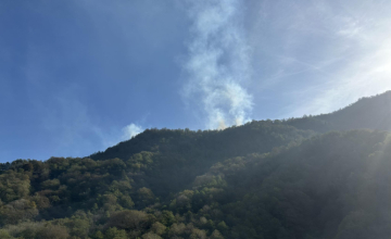 ლუგელას ხეობაში ხანძრის ლოკალიზება ისევ ვერ ხერხდება - მუშაობა დილიდან განახლდა
