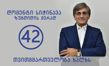 ზვიად სიჭინავას საარჩევნო ნომერი მიენიჭა