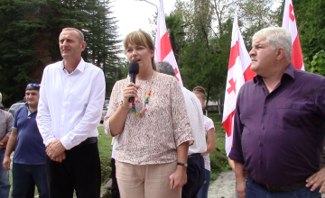 სანდრა რულოვსი წინასაარჩევნო კამპანიას აგრძელებს (ვიდეო) 