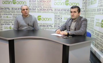 მსჯელობა ია კერზაიას საქმეზე 