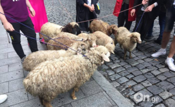 აქცია "სირცხვილიას" მონაწილეებმა პარლამენტის შენობასთან ცხვრები მიიყვანეს 