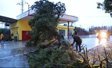 რა ვითარებაა სტიქიის შემდეგ სამეგრელო-ზემო სვანეთში (ფოტო)