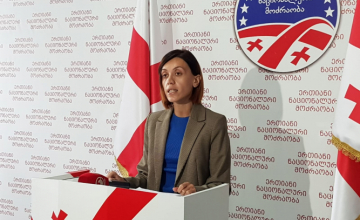 "გადასატანი ყუთის სიაში 124 ჯანმრთელი ადამიანი აღმოვაჩინეთ" - ანა წითლიძე