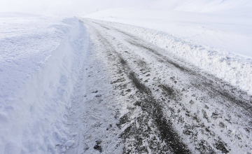 გზის რამდენიმე მონაკვეთზე მოძრაობის სპეციალური რეჟიმია დაწესებული