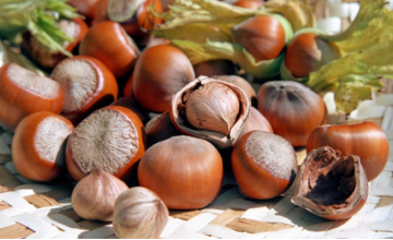 საქართველოდან თხილის ექსპორტი საგრძნობლად შემცირდა