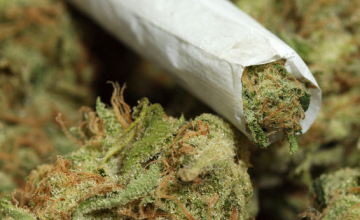 შსს: მარიხუანას მოხმარება მკაცრ სამართლებრივ ჩარჩოებში მოექცევა