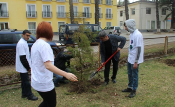 გამწვანების აქცია მარტვილში