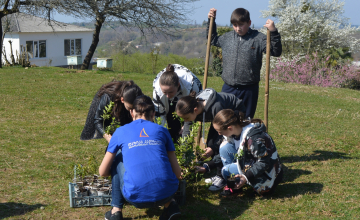 ლაზიკა კაპიტალმა ზუგდიდის სკოლებს კოლხური ბზის ნერგები გადასცა (ვიდეო) 