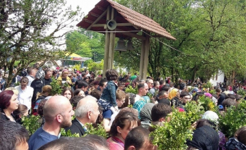 დღეს ბზობაა