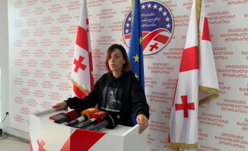 ანა წითლიძე პარლამენტს სავარაუდოდ დატოვებს