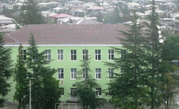 მე-3 საჯარო სკოლას ზვიად გამსახურდიას სახელი მიენიჭება 