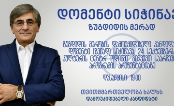 დომენტი სიჭინავა მედიისთვის ხვალ საარჩევნო პროგრამის პრეზენტაციას გამართავს ®