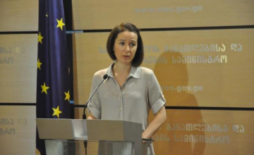  სანიკიძე: პანკისიდან სირიაში ახალგაზრდების წასვლის შესაძლებლობა მინიმუმამდეა დაყვანილი