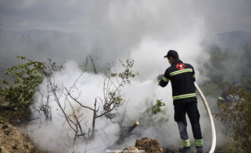 საგანგებო სიტუაციების მართვის სამსახური მოსახლეობას ტყის ხანძრებთან დაკავშირებით აფრთხილებს