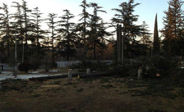 თებერვლის პირველ კვირას მზიანი ამინდია მოსალოდნელი