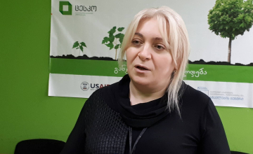ზუგდიდში 4%-იანი ბარიერი სამმა პარტიამ გადალახა  (ვიდეო)