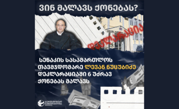 სენაკის სასამართლოს თავმჯდომარე ლევან ნუცუბიძე დეკლარაციაში უძრავ ქონებას არ უთითებს - TI