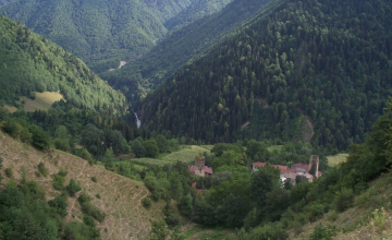 ჭუბერში ორ გოგონას ეძებენ