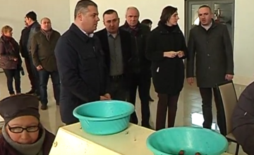 სოფლის მეურნეობის მინისტრმა და გუბერნატორმა თხილის ახალი საწარმო დაათვალიერეს (ვიდეო)
