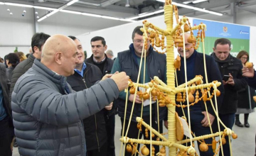 ყველისგან დამზადებულ ნაძვის ხეს ყველაზე კრეატიულის სტატუსი ერგო (ვიდეო)
