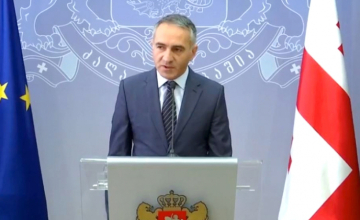 მიხეილ ბატიაშვილი ია კერზაიას საქმის სტრასბურგში გაგზავნას მიესალმება