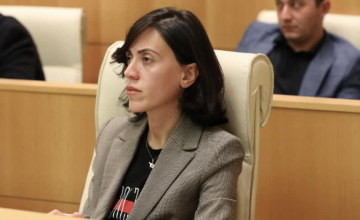 ენმ არ არის მელიას ან ხაბეიშვილის პარტია, ის ღირებულელების და ფასეულობების პარტიაა - ანა წითლიძე