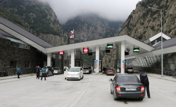 რუსეთიდან საქართველოში დაახლოებით 20-25 ათასი ადამიანი შემოვიდა - დავითაშვილი