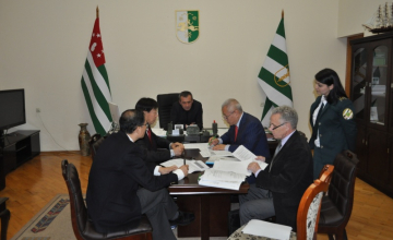 ჩინელები სოხუმში ელექტრომობილების წარმოების შესაძლებლობას განიხილავენ