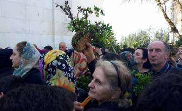 ბზობა ზუგდიდში (ვიდეო)