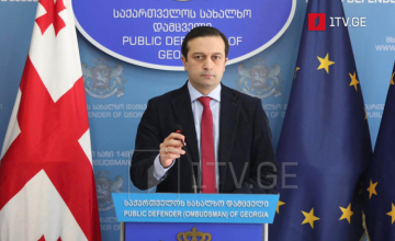 სახალხო დამცველის რწმუნებულებმა დაკავებულები მოინახულეს