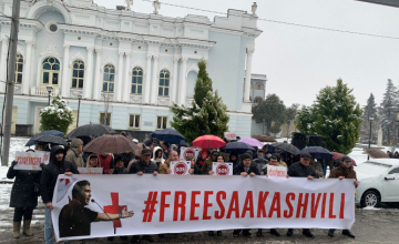 მესამე პრეზიდენტის მხარდამჭერი აქცია სენაკშიც გაიმართა 