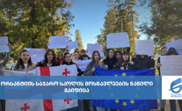 ორსანტიის საჯარო სკოლის მოსწავლეების ნაწილი გაიფიცა (ფოტო/ვიდეო)