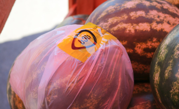 სეს: ადგილობრივი წარმოების საზამთროსა და ნესვში ნიტრატების გადაჭარბებული შემცველობა არ ფიქსირდება