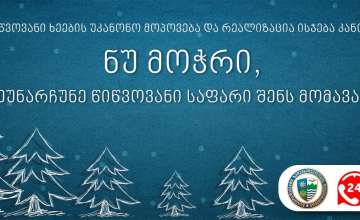 წინასაახალწლოდ წიწვოვან ხეებზე კონტროლი გამკაცრდება