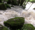 შურუბუმუს ხეობის მდინარე, რომელიც "იძახის" (ვიდეო) 