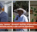 ასოციაცია “იმედი” დევნილ ქალთა მოძრაობა მშვიდობისათვის-სამი ქალის ისტორია