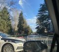 ზუგდიდის ცენტრალური ბულვარის ნაწილი გადაკეტილია, ავტომობილებით გადაადგილება შეზღუდულია
