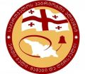 "პატრიოტთა ალიანსი": გურგენ სართანია ჩვენი პარტიის წევრია