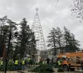ზუგდიდის მთავარ ნაძვის ხეს ცენტრალურ ბულვარში ამონტაჟებენ (ფოტო)